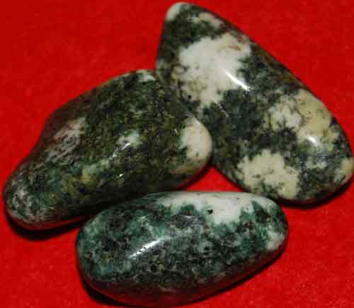 3 Preseli Bluestone (Stonehenge) Tumbled Stones #13