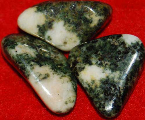 3 Preseli Bluestone (Stonehenge) Tumbled Stones #1