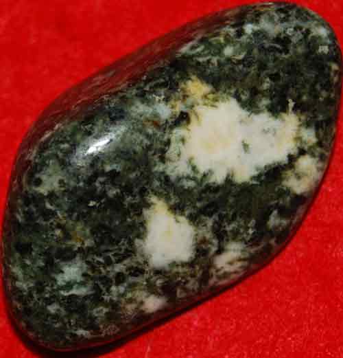 1 Large Preseli Bluestone (Stonehenge) Tumbled Stone #23