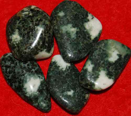 5 Preseli Bluestone (Stonehenge) Tumbled Stones #8