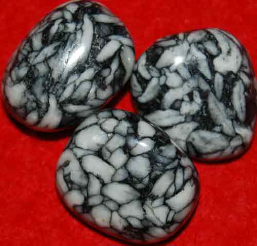 3 Pinolite Tumbled Stones #10