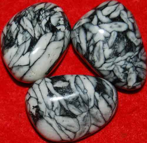 3 Pinolite Tumbled Stones #11