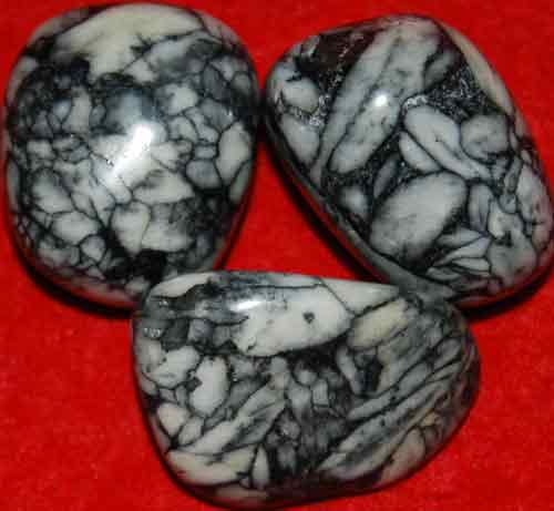 3 Pinolite Tumbled Stones #13