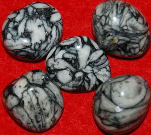 5 Pinolite Tumbled Stones #1