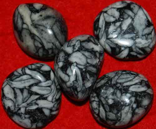 5 Pinolite Tumbled Stones #2