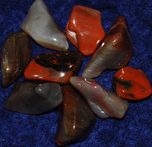 Nine Petrified Wood (Arizona) Tumbled Stones #10