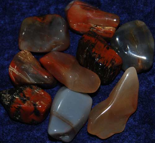 Nine Petrified Wood (Arizona) Tumbled Stones #1