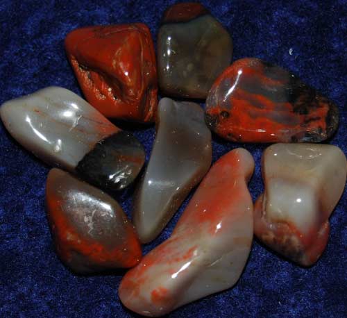 Nine Petrified Wood (Arizona) Tumbled Stones #4