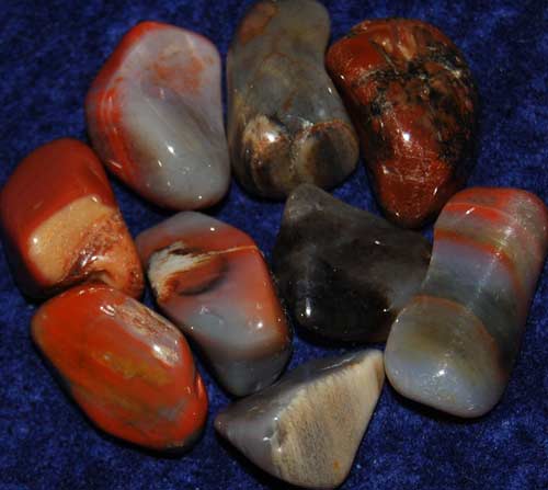 Nine Petrified Wood (Arizona) Tumbled Stones #6