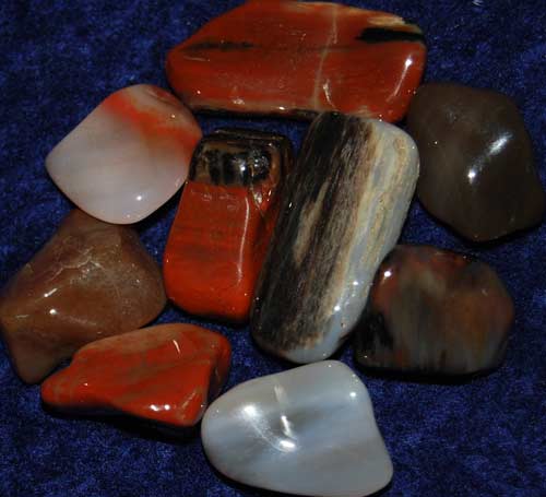 Nine Petrified Wood (Arizona) Tumbled Stones #8