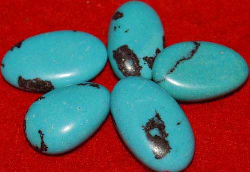 5 Turquoise Tumbled Stones #3