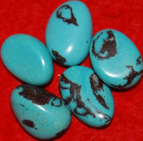 5 Turquoise Tumbled Stones #5