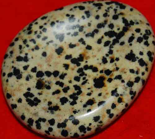 Dalmatian Jasper Worry/Thumb Stone #10