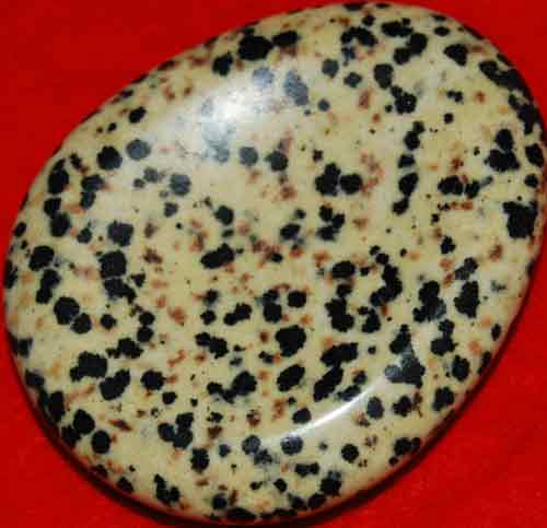 Dalmatian Jasper Worry/Thumb Stone #11