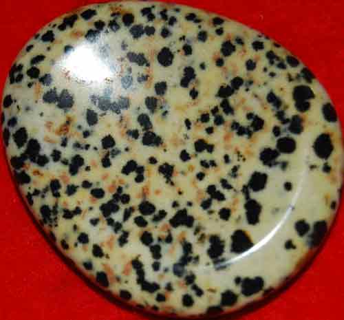 Dalmatian Jasper Worry/Thumb Stone #12