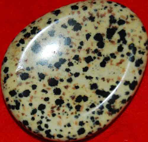 Dalmatian Jasper Worry/Thumb Stone #14