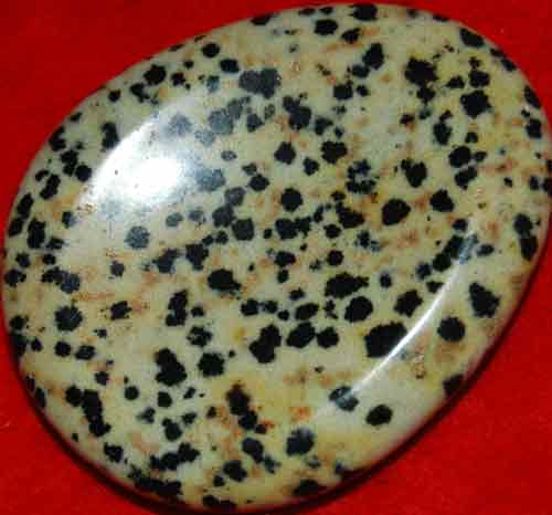 Dalmatian Jasper Worry/Thumb Stone #15