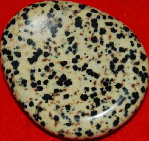 Dalmatian Jasper Worry/Thumb Stone #16