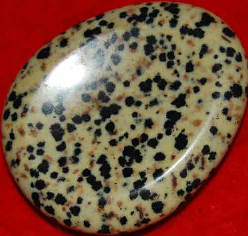 Dalmatian Jasper Worry/Thumb Stone #17