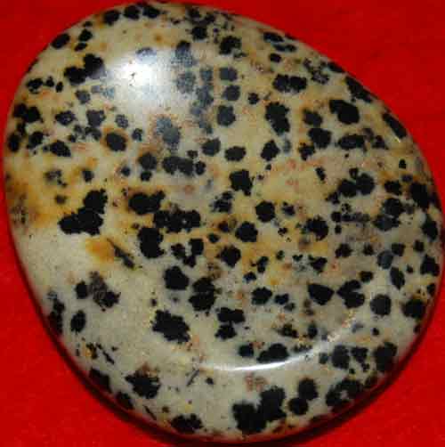 Dalmatian Jasper Worry/Thumb Stone #1