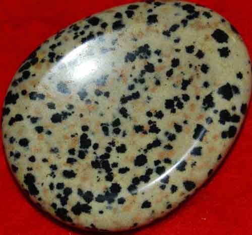 Dalmatian Jasper Worry/Thumb Stone #2