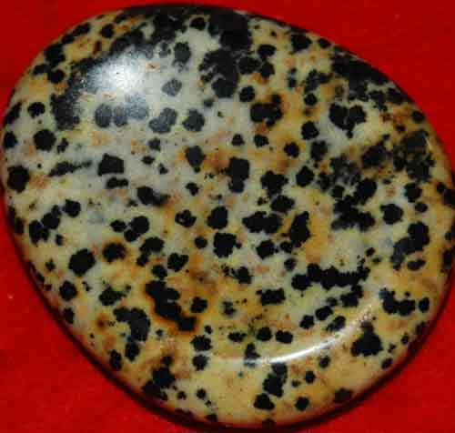 Dalmatian Jasper Worry/Thumb Stone #4