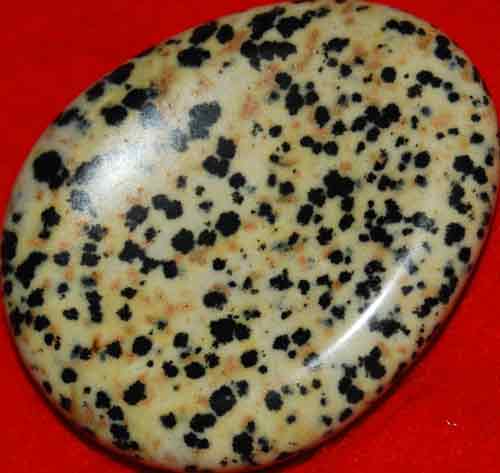 Dalmatian Jasper Worry/Thumb Stone #6