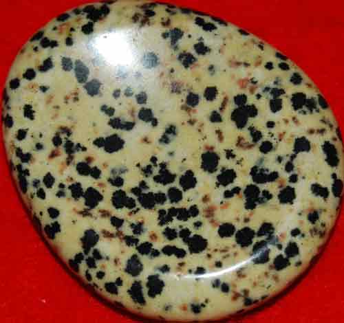 Dalmatian Jasper Worry/Thumb Stone #7