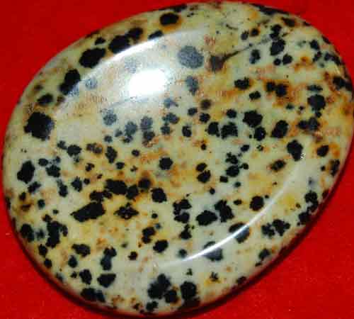 Dalmatian Jasper Worry/Thumb Stone #8