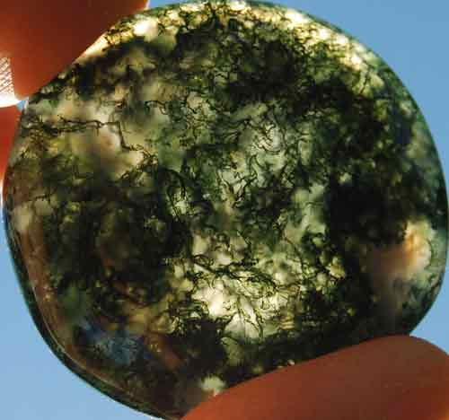 Green Moss Agate Worry/Thumb Stone #8