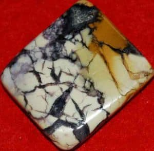 Tiffany Stone Palm Stone Slice #14