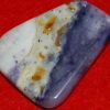 Tiffany Stone Palm Stone Slice #6