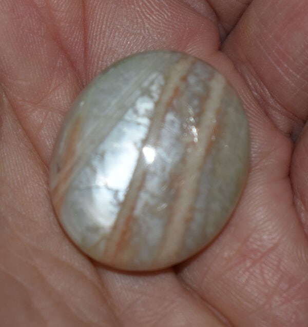 Parrot Green Moonstone Palm Stone #5