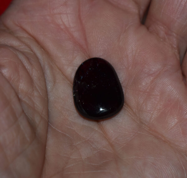 Rhodolite Garnet Palm Stone #4