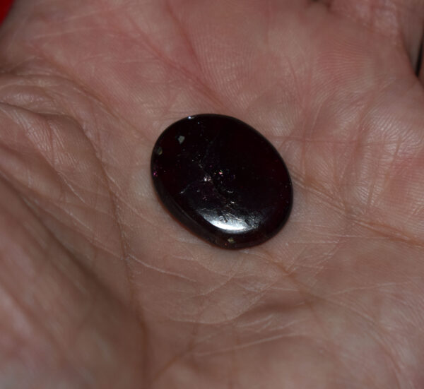 Rhodolite Garnet Palm Stone #6